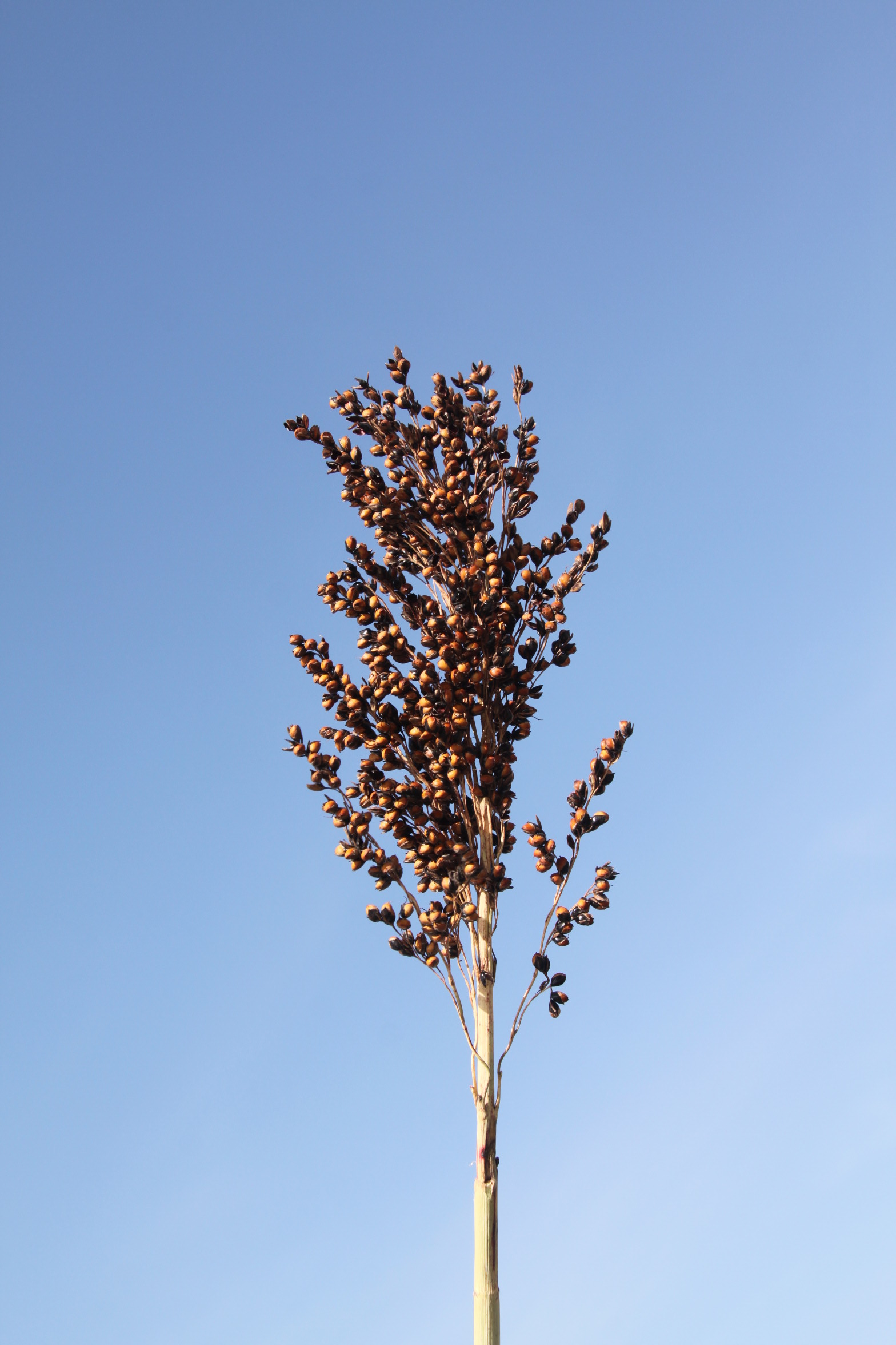 数据库中未找到相应图片