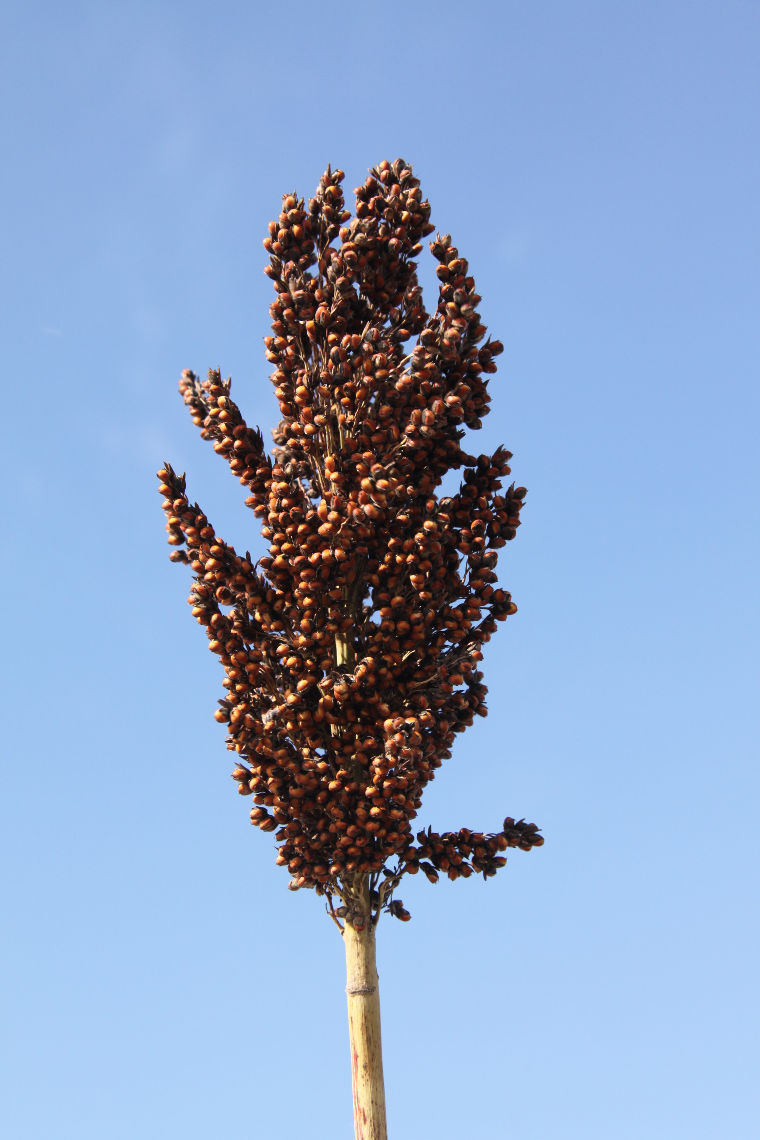 数据库中未找到相应图片