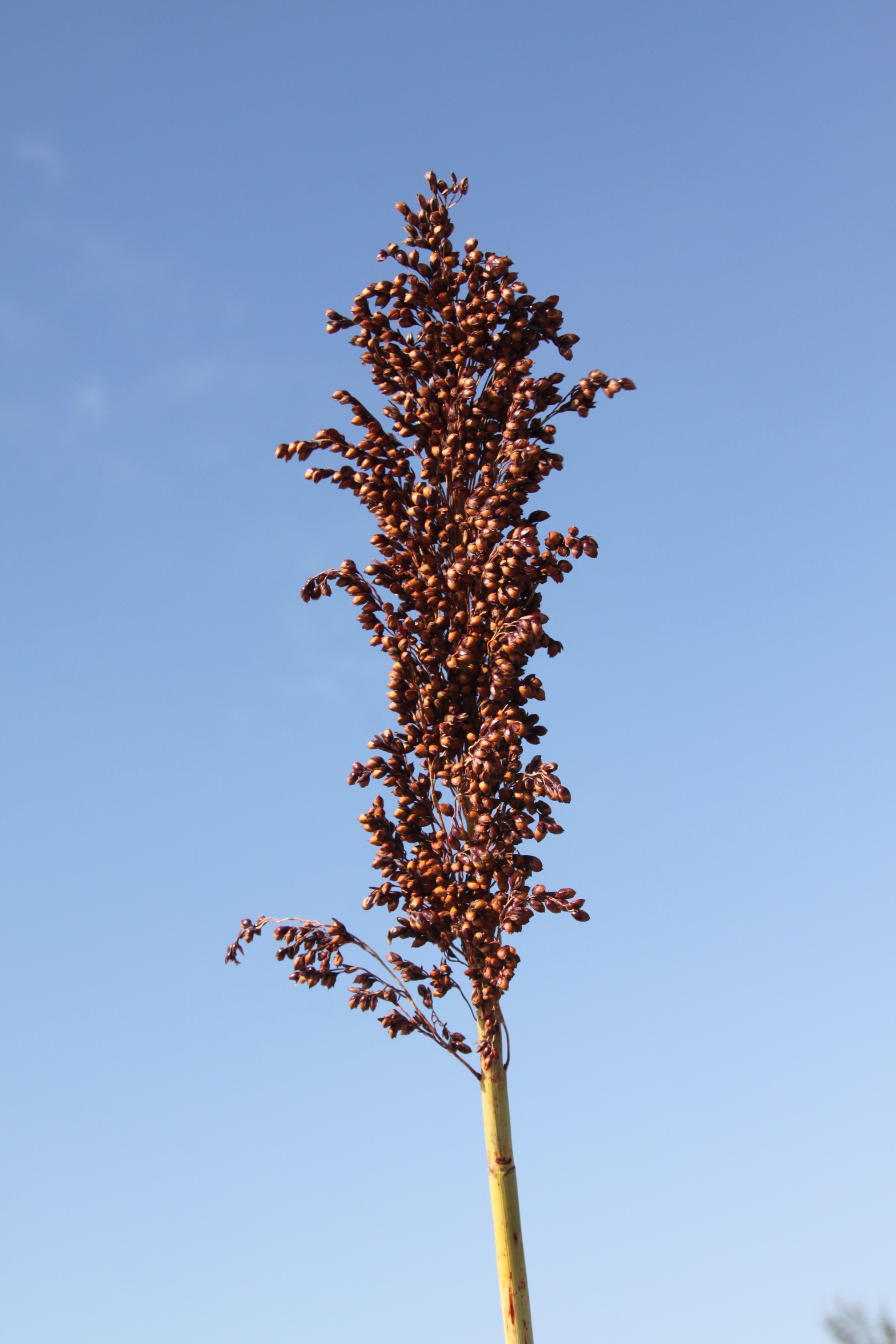 数据库中未找到相应图片