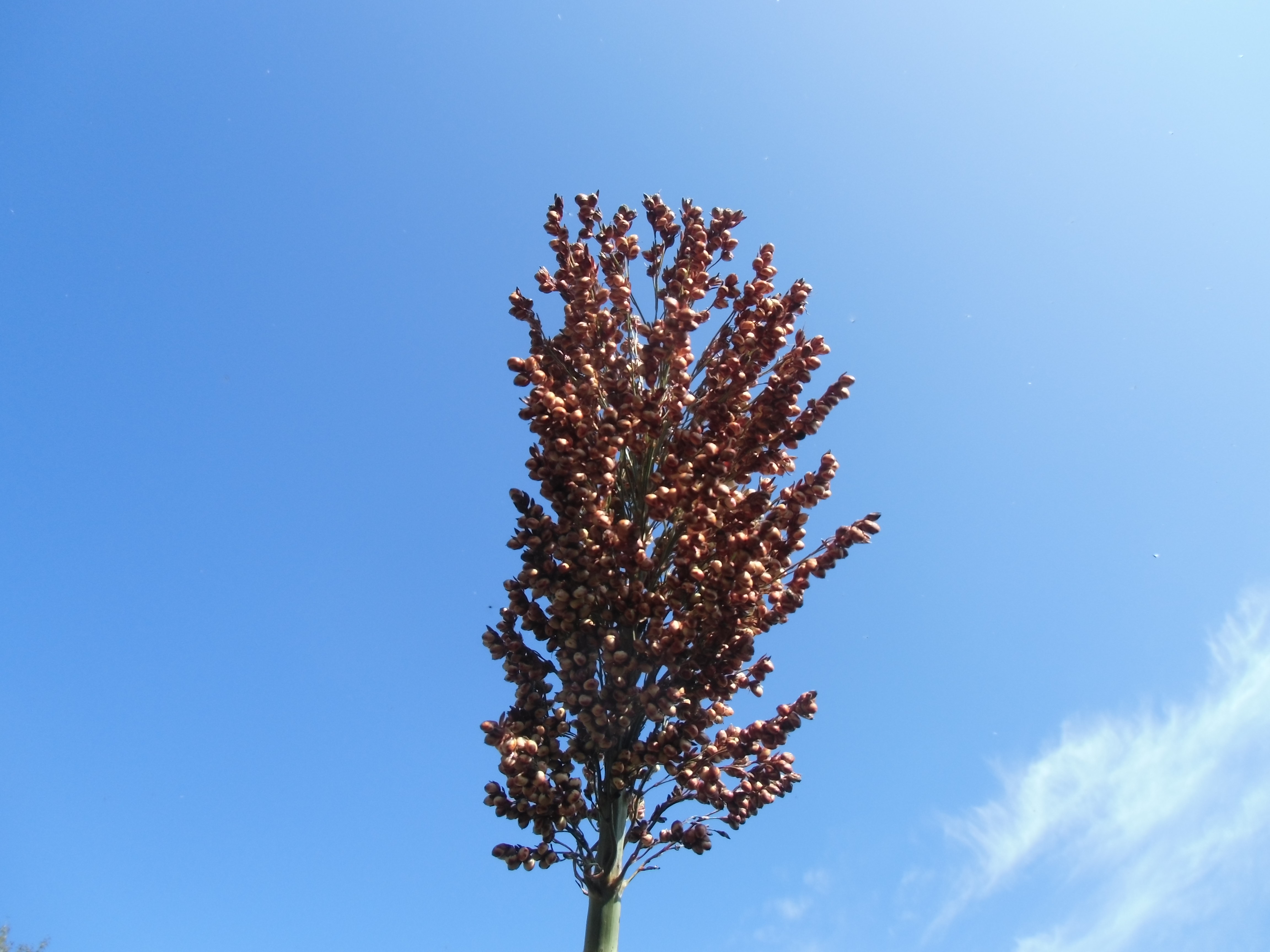 数据库中未找到相应图片