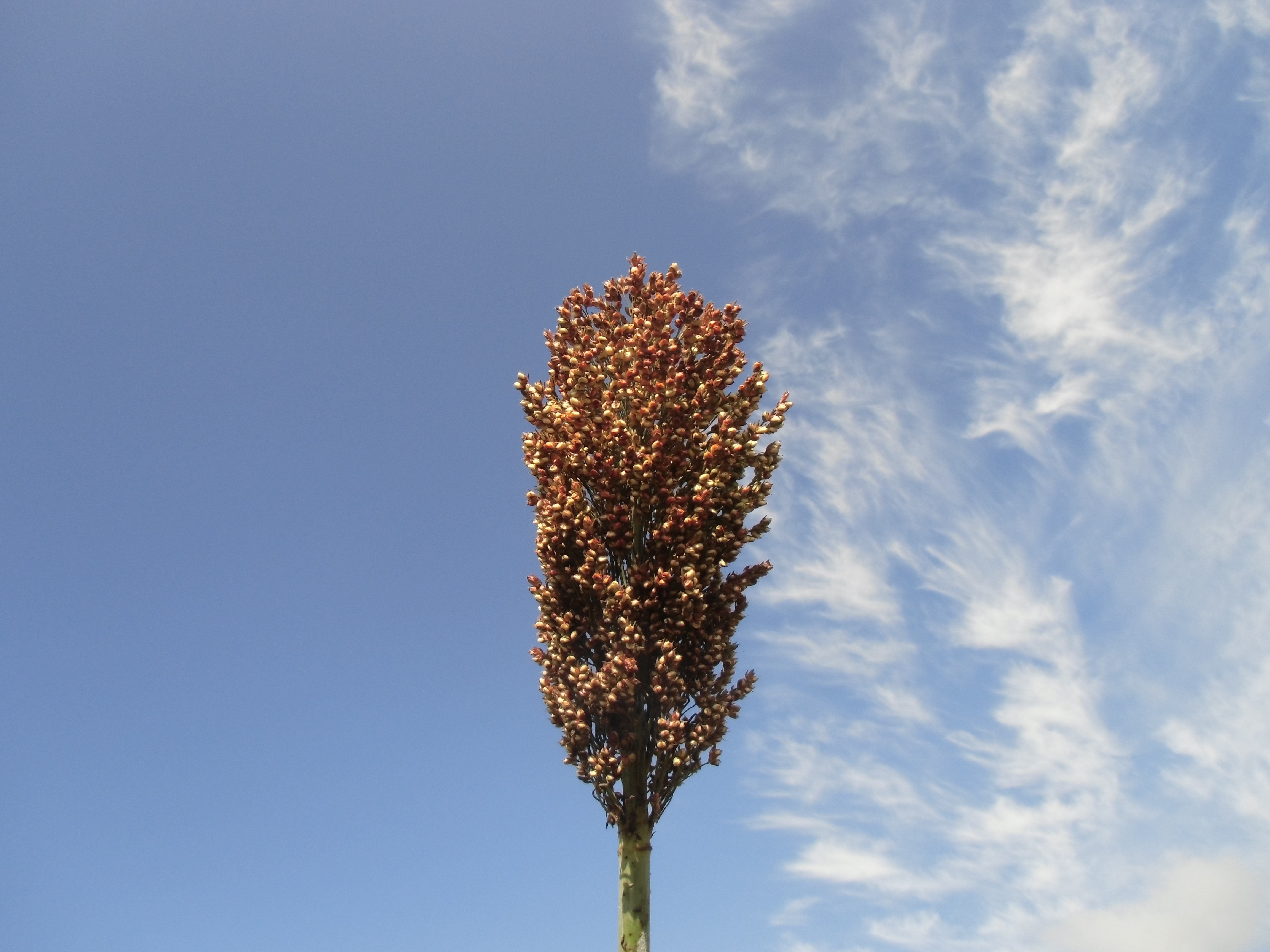 数据库中未找到相应图片