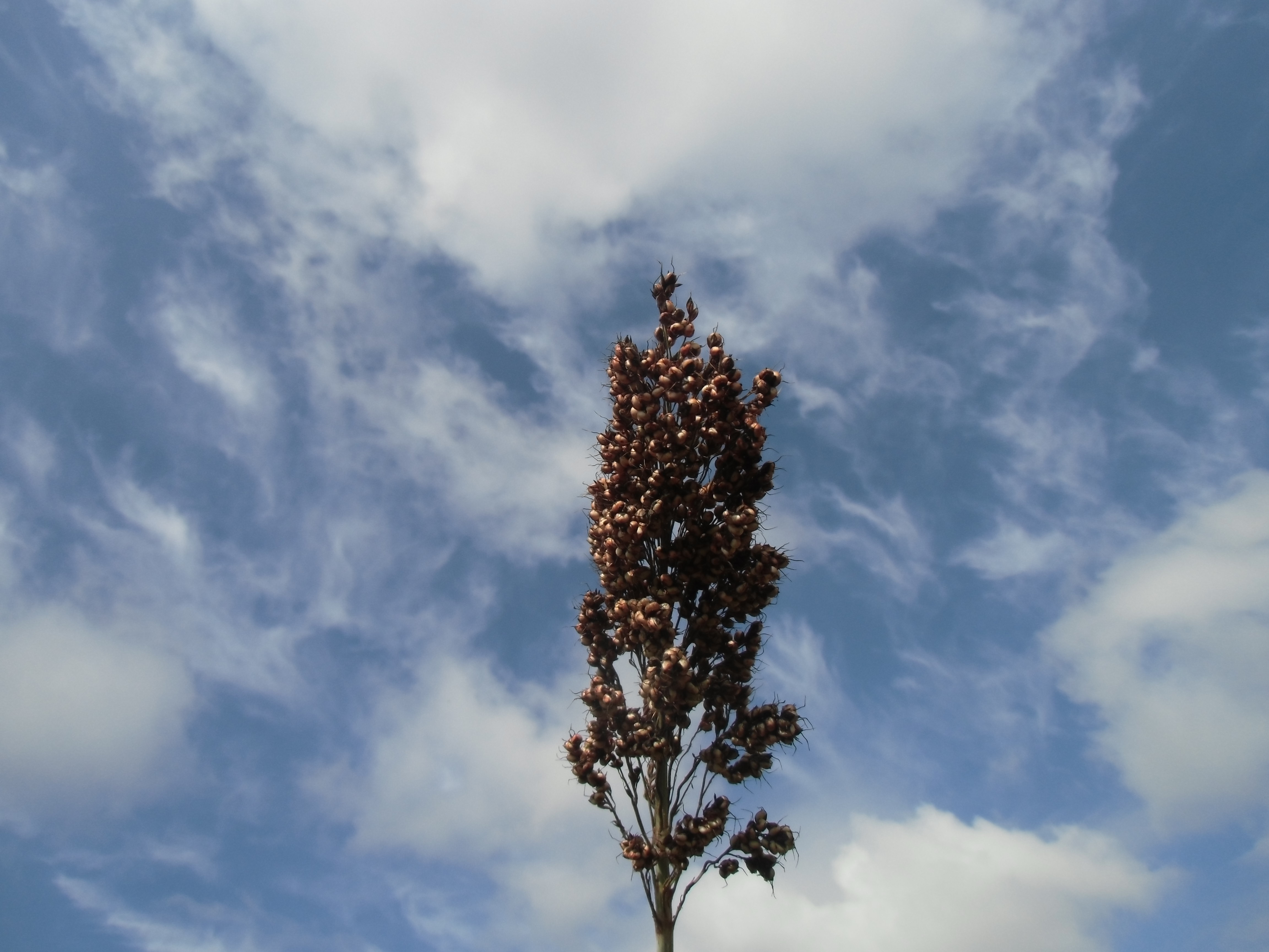 数据库中未找到相应图片