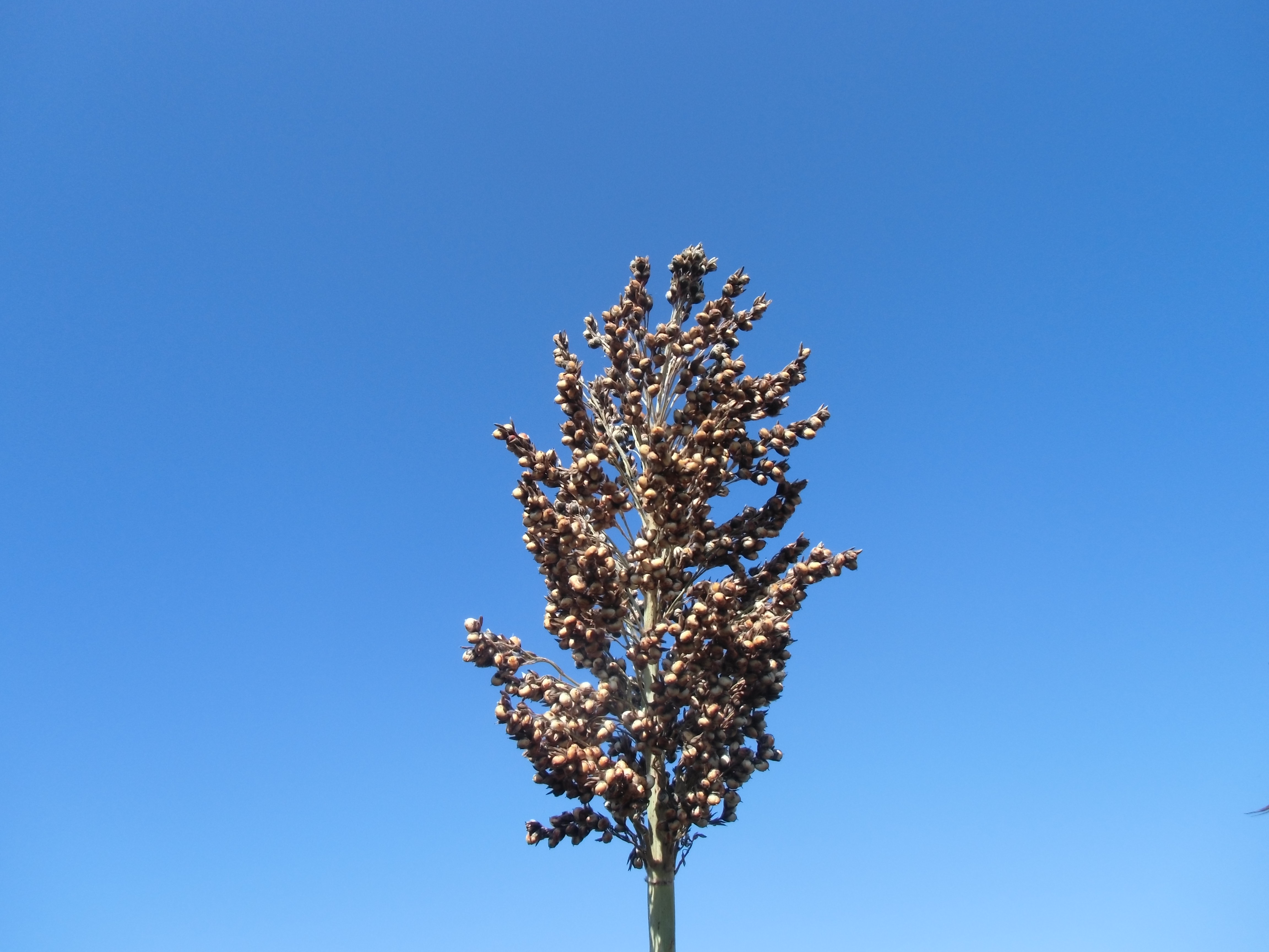 数据库中未找到相应图片