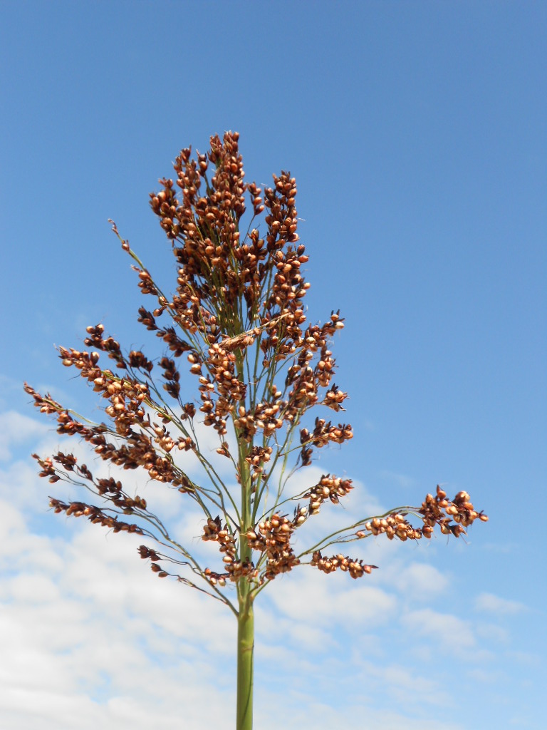 数据库中未找到相应图片