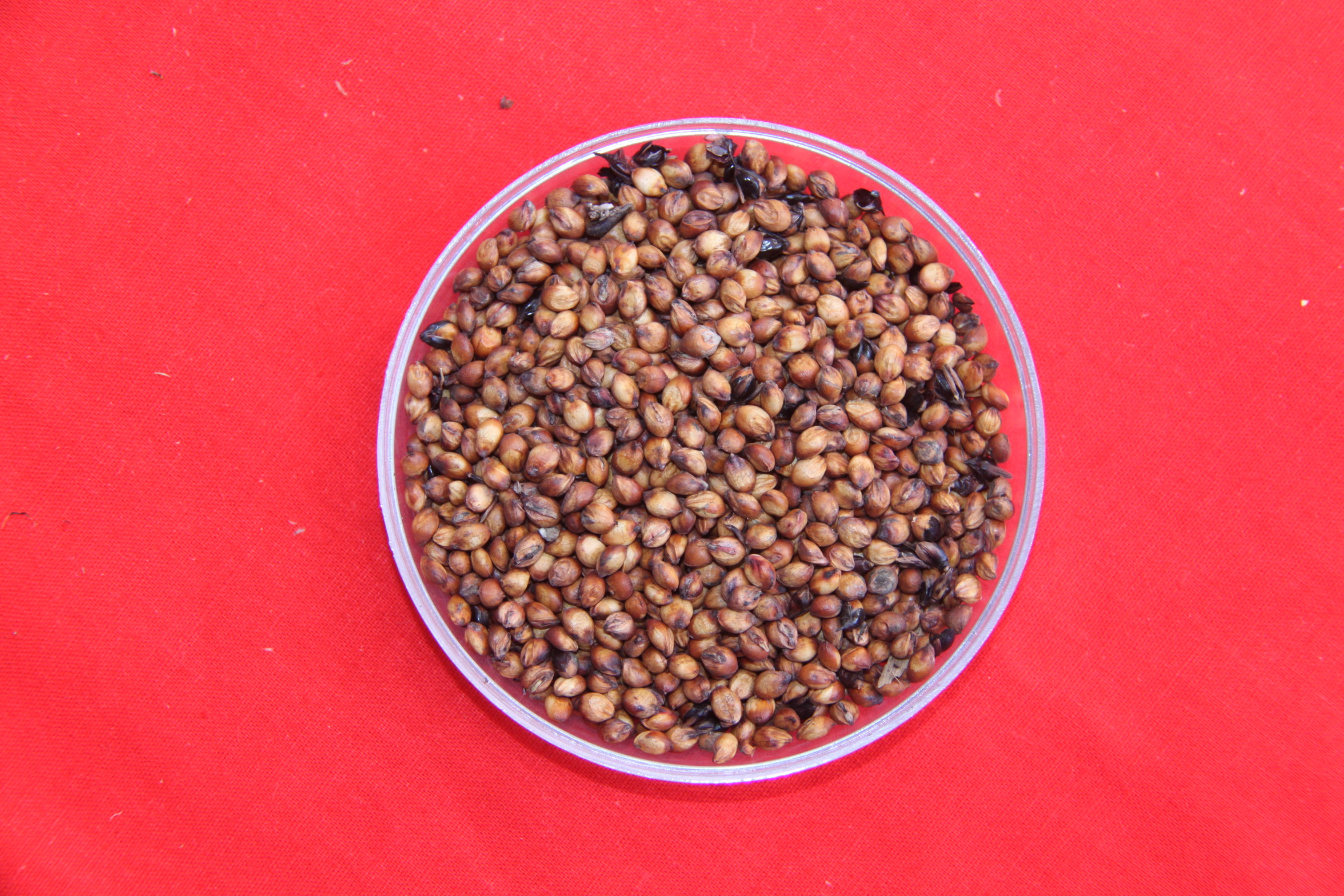 数据库中未找到相应图片