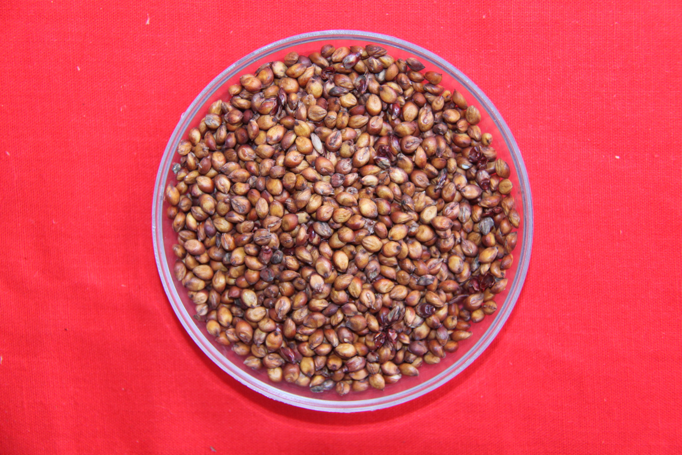 数据库中未找到相应图片