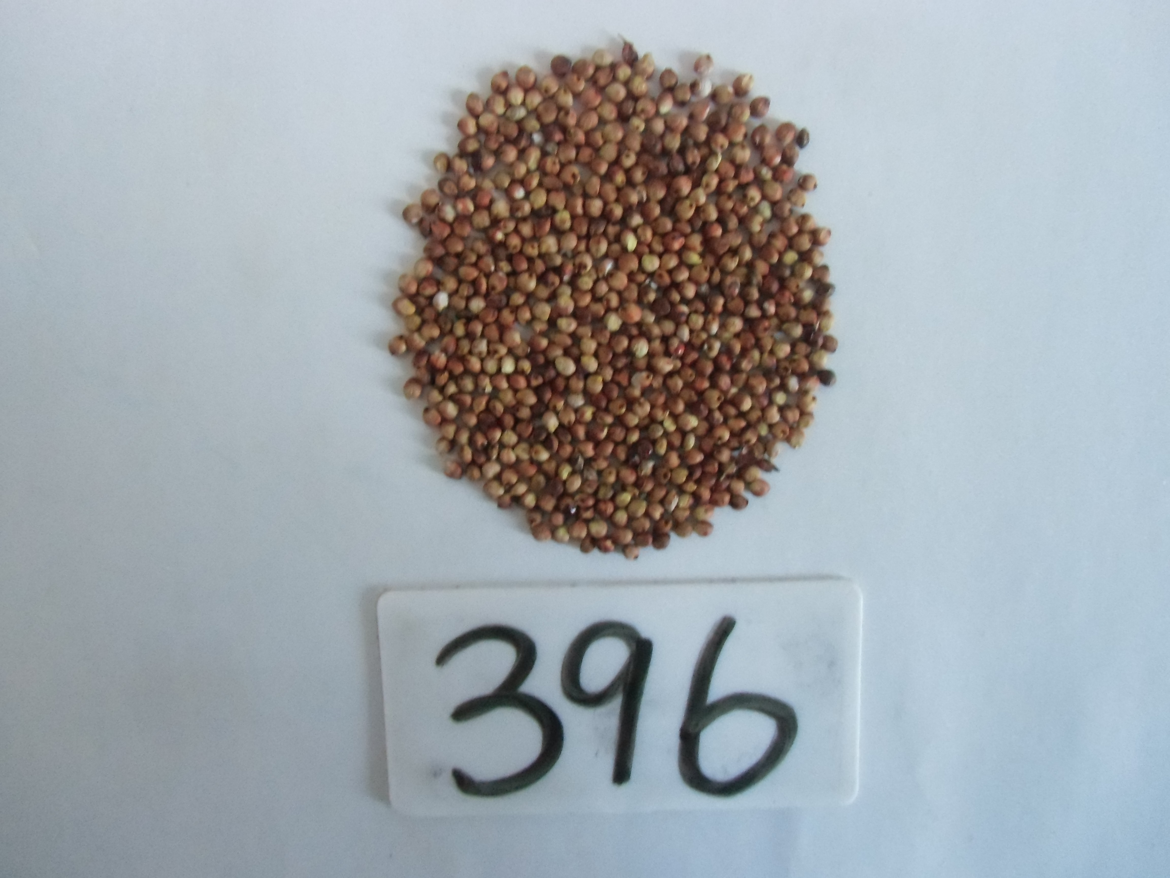 数据库中未找到相应图片