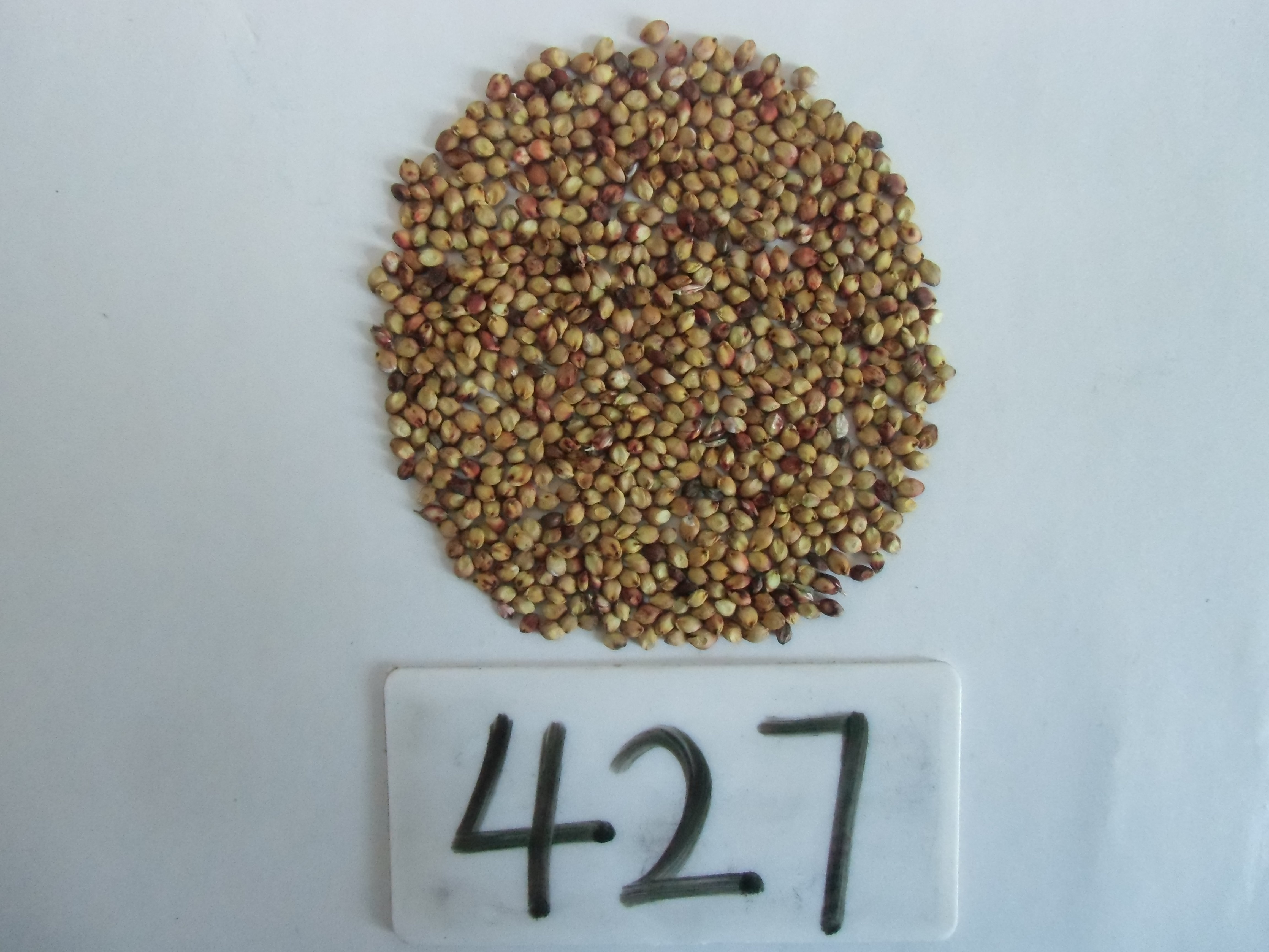 数据库中未找到相应图片