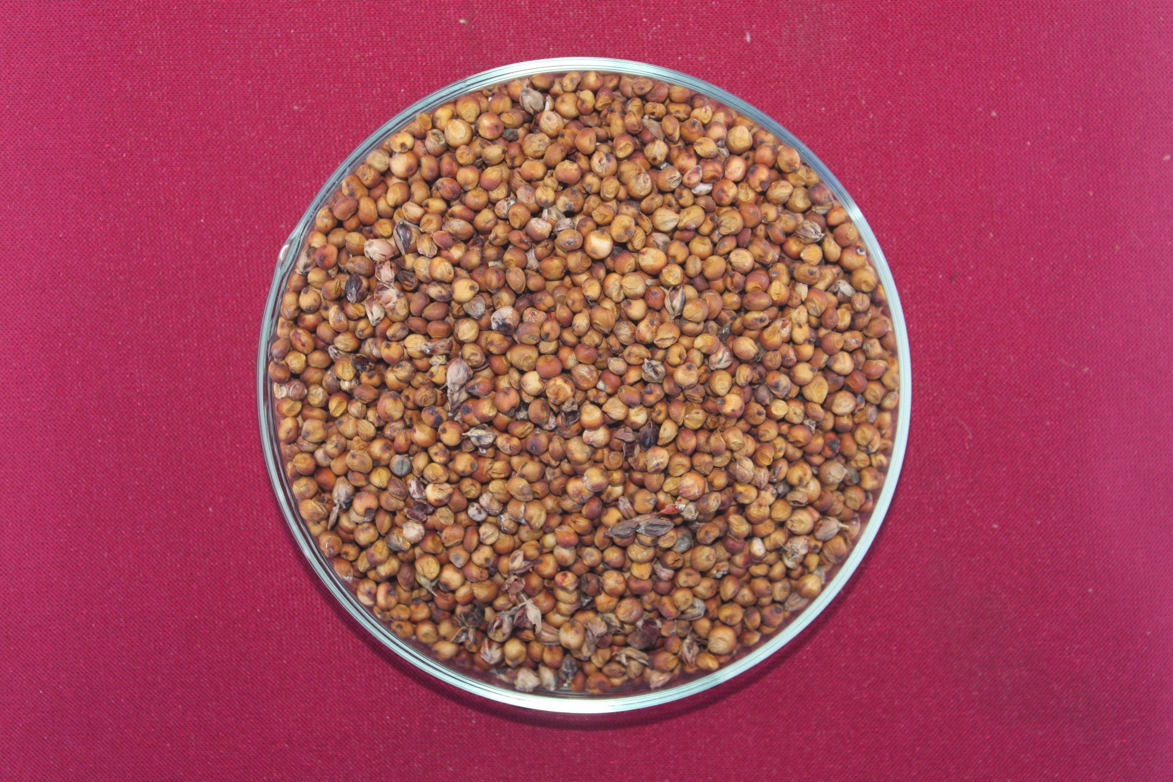 数据库中未找到相应图片