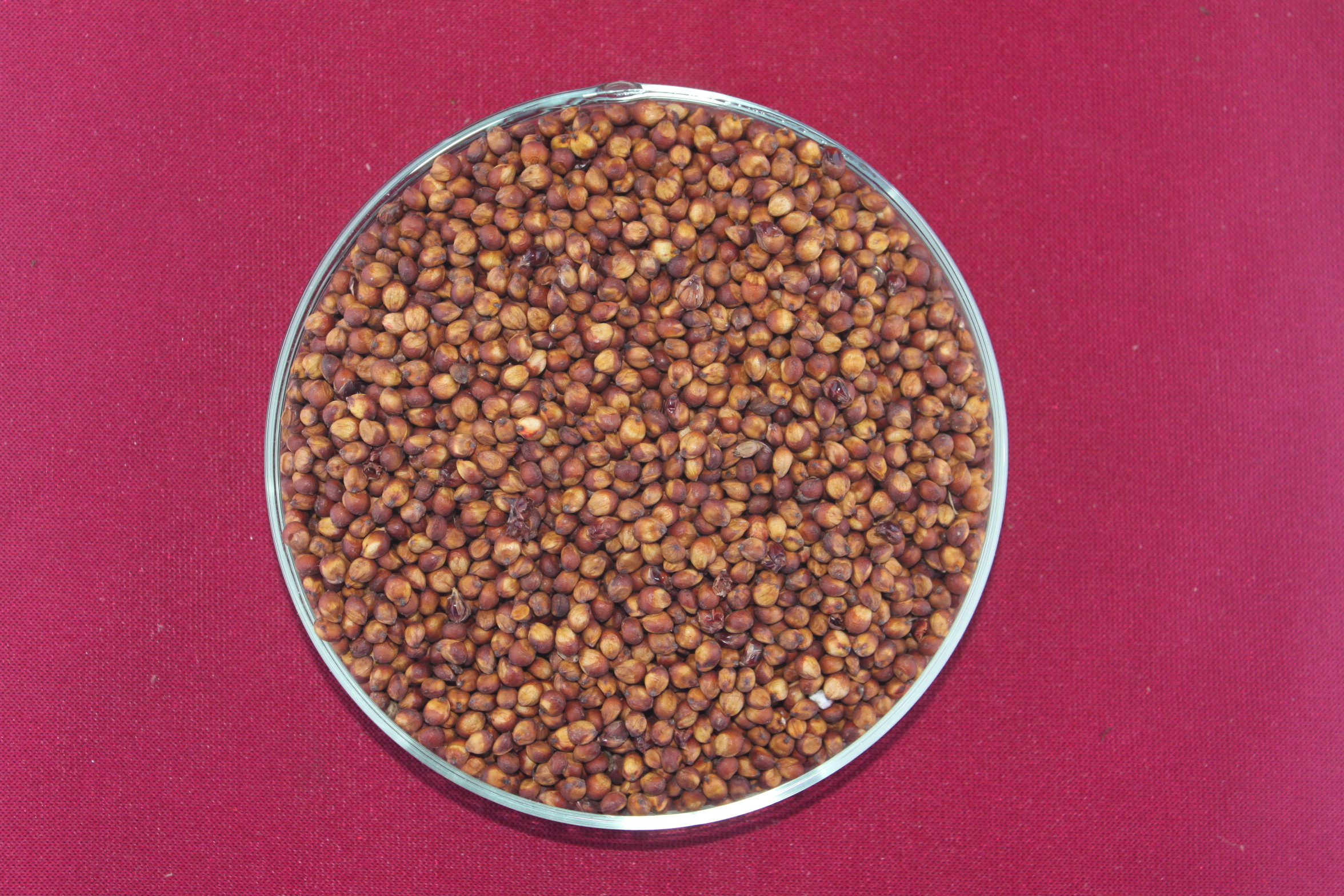 数据库中未找到相应图片