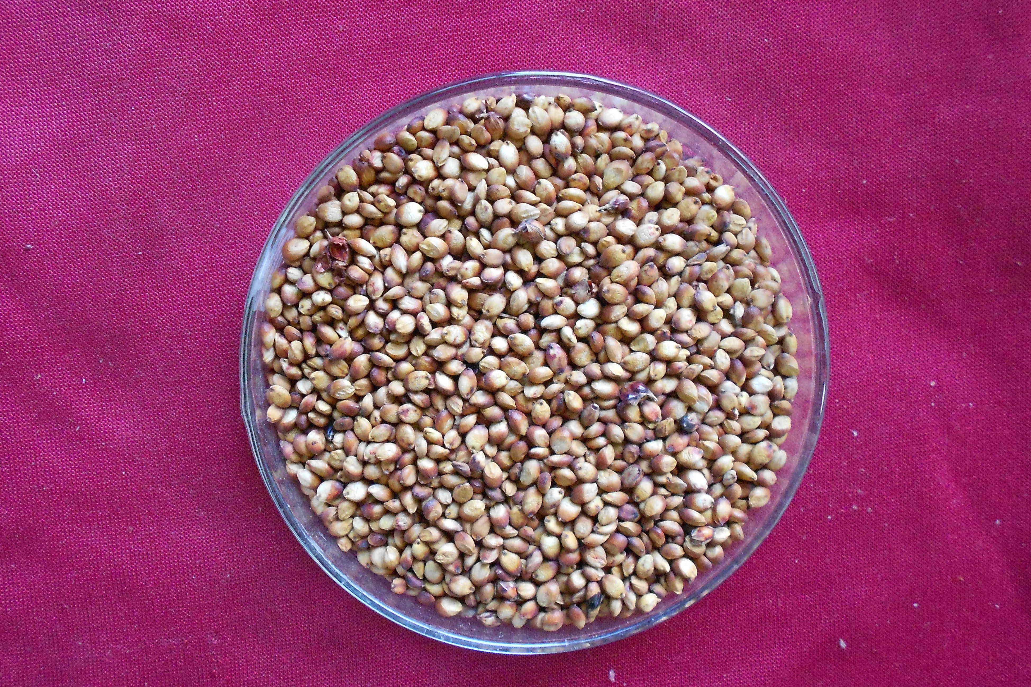 数据库中未找到相应图片